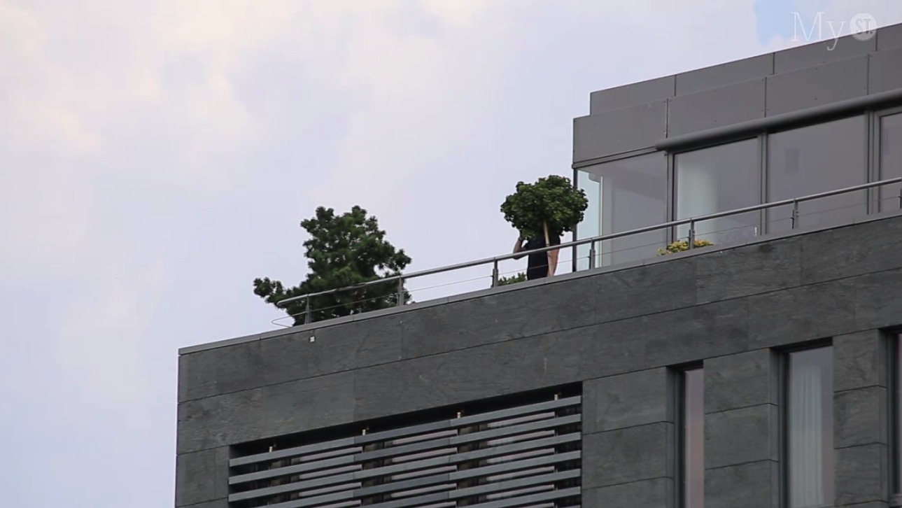 Portrét klimatického žalu