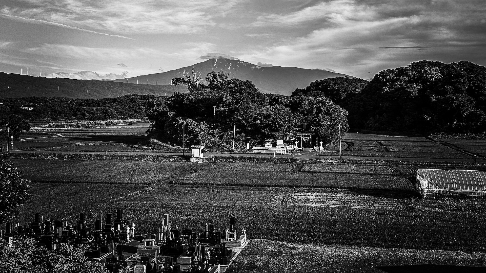 Ukradl jsi mé srdce