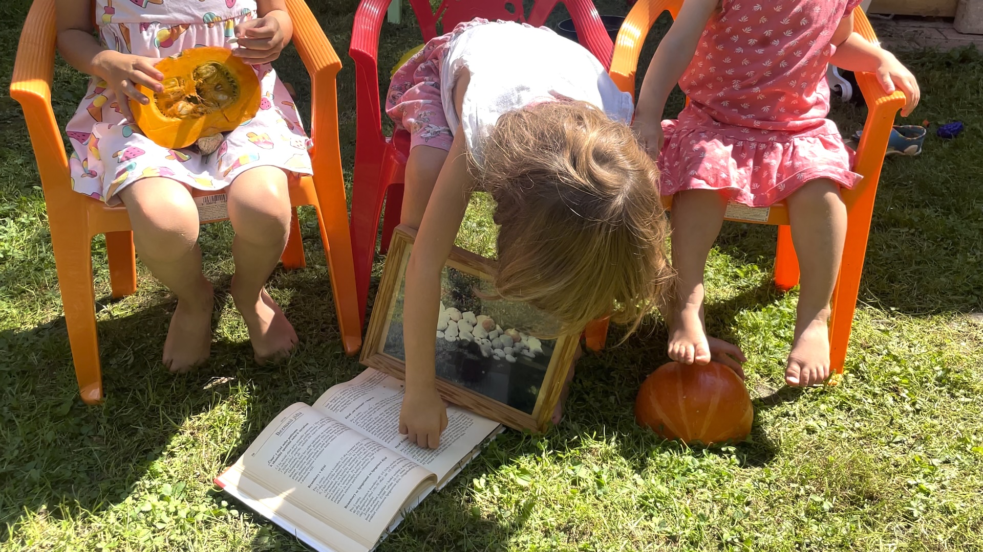 Jak se vaří z dýní a patizonů